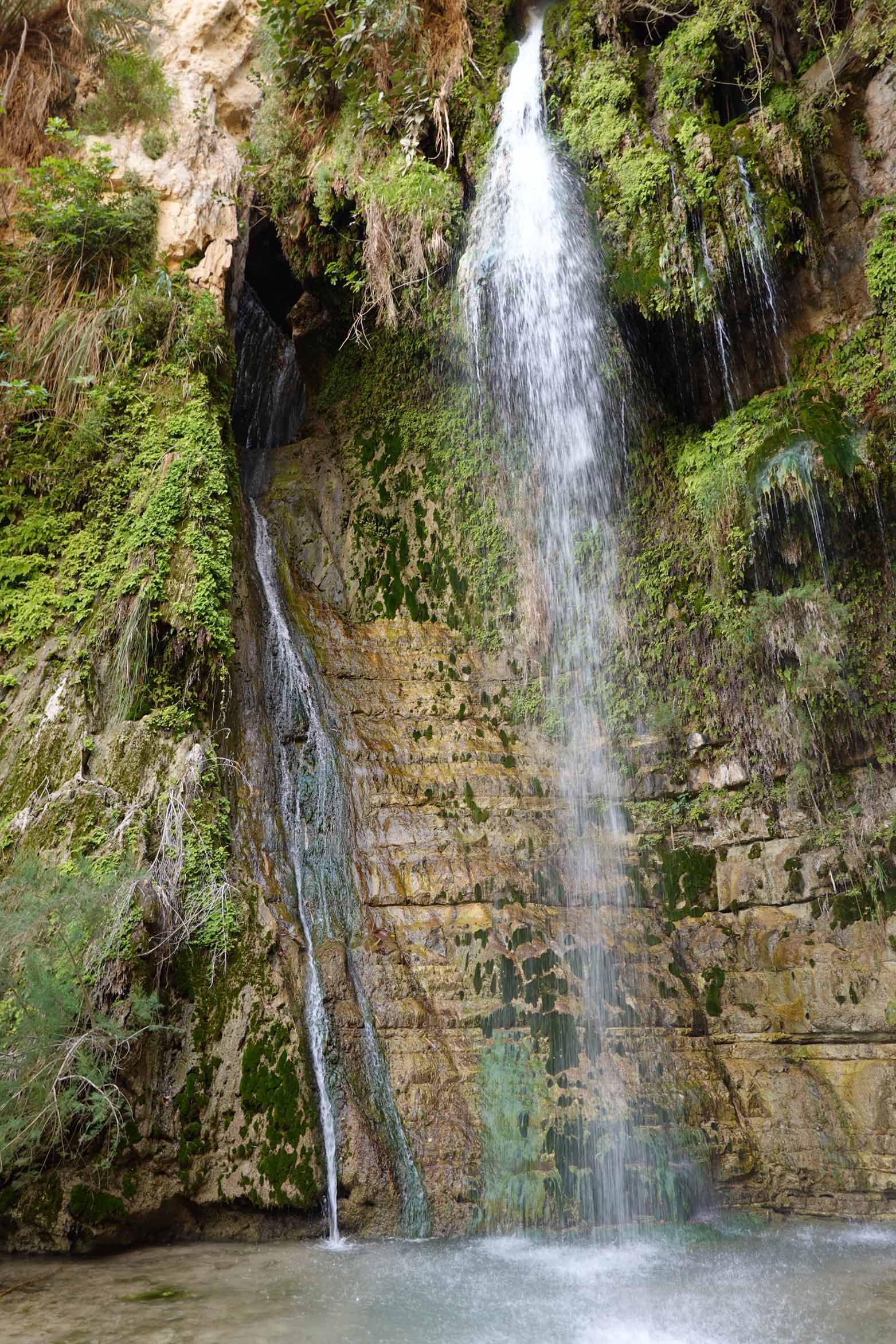 David Waterfall of the Ein Gedi Nature Reserve